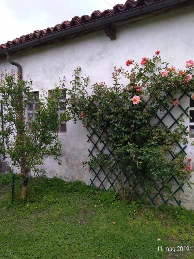 Beb Infamiglia Bed & Breakfast Cascinette Екстериор снимка